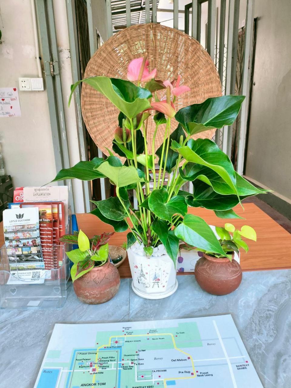 Davyta House Lejlighed Siem Reap Eksteriør billede